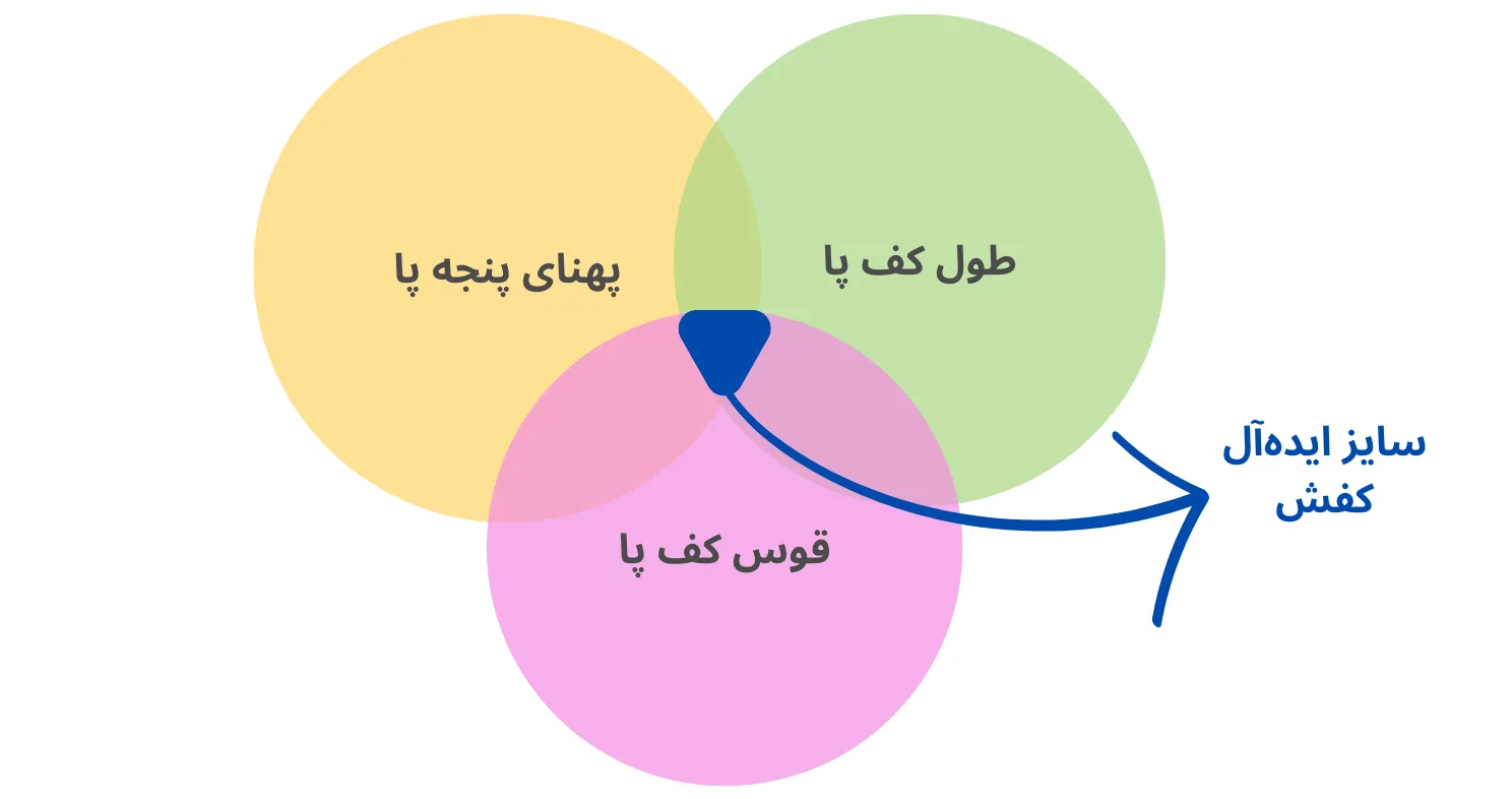 چطور سایز پا را بفهمیم