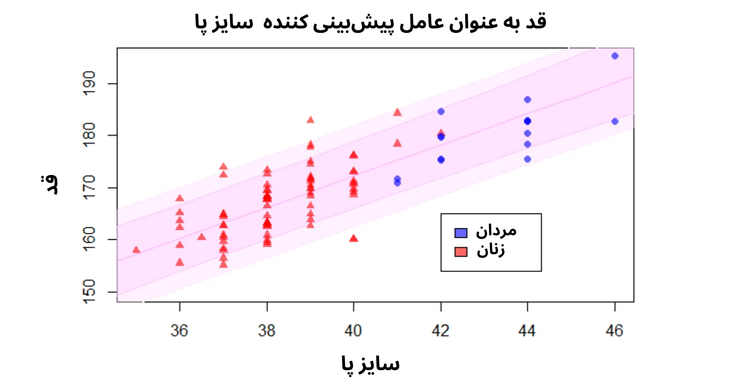 تخمین سایز پا با استفاده از قد